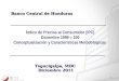 1 Banco Central de Honduras Índice de Precios al Consumidor (IPC) Diciembre 1999 = 100 Conceptualización y Características Metodológicas Tegucigalpa, MDC