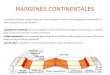 MARGENES CONTINENTALES La posición del fondo oceánico adyacente a los continentes. Puede incluir la plataforma continental, el talud continental y el pie