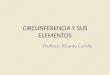 CIRCUNFERENCIA Y SUS ELEMENTOS Profesor: Ricardo Carrillo