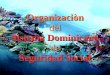 Organizaciòndel Sistema Dominicano de Seguridad Social