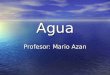 Agua Profesor: Mario Azan. El agua y sus características El agua es la sustancia mas abundante en los sistemas vivos. El agua es la sustancia mas abundante