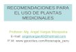 RECOMENDACIONES PARA EL USO DE PLANTAS MEDICINALES Profesor: Mg. Angel Vargas Mosqueira E-mail: angelvargas40@hotmail.comangelvargas40@hotmail.com P.W: