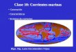 Clase 10: Corrientes marinas - Generación - Características - Sistemas de corrientes Blgo. Mg. Lucio Encomendero Yépez