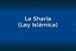 La Sharia (Ley Islámica) La Sharia (Ley Islámica)