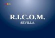 R.I.C.O.M. SEVILLA. RECETA MÉDICA PRIVADA RECETA MÉDICA USO RACIONAL DEL MEDICAMENTO