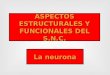 ASPECTOS ESTRUCTURALES Y FUNCIONALES DEL S.N.C. La neurona