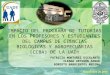 IMPACTO DEL PROGRAMA DE TUTORÍAS EN LOS PROFESORES Y ESTUDIANTES DEL CAMPUS DE CIENCIAS BIOLÓGICAS Y AGROPECUARIAS (CCBA) DE LA UADY PATRICIA MONTAÑEZ