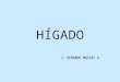 HÍGADO J. GERARDO MACIAS G.. HIGADO Es la glándula de mayor tamaño Se localiza en el epigastrio en la porción paracondriaca derecha Su color es rojo parduzco