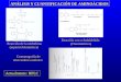 ANÁLISIS Y CUANTIFICACIÓN DE AMINOÁCIDOS Reacción de la ninhidrina (espectrofotométrica) Reacción con o-ftalaldehído (Fluorimétrica) Cromatografía de intercambio