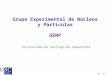 Grupo Experimental de Núcleos y Partículas GENP Universidad de Santiago de Compostela Nov - 05