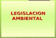 LEGISLACION AMBIENTAL. 2 CONSTITUCION POLITICA Y AMBIENTE