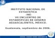 INSTITUTO NACIONAL DE ESTADÍSTICA -INE- VII ENCUENTRO DE ESTADÍSTICAS DE GÉNERO AGUASCALIENTES, MÉXICO. Guatemala, septiembre de 2006