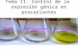 Tema 11. Control de la expresión génica en procariontes