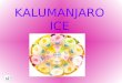 KALUMANJARO ICE INDICE BIENVENIDO AL EQUIPO KALUMANJARO ICE HISTORIA DE KALUMANJARO ICE FILOSOFÍA DE KALUMANJARO ICE ORGANIGRAMA VIDA Y CARRERA DERECHOS