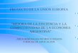 PROYECTO DE LA UNION EUROPEA “MEJORA DE LA EFICIENCIA Y LA COMPETITIVIDAD DE LA ECONOMIA ARGENTINA” AREA MINERALES NO METALIFEROS Y ROCAS DE APLICACION