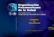 2006 Organización Panamericana de la Salud Focalizacion vs. Universalizacion Dr.Ruben Torres Asesor subregional en sistemas de salud Curso: Desafios de