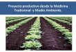 5.- Aumentar la producción de hortalizas y plantas medicinales en base a la técnica de la Organoponia para ser ofrecidas y vendidas en las comunidades