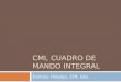 CMI, CUADRO DE MANDO INTEGRAL Dolores Hidalgo, CIN, Gto