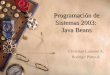 Programación de Sistemas 2003: Java Beans Christian Lalanne A. Rodrigo Pinto A