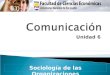 Unidad 6 Sociología de las Organizaciones. Información