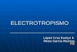 ELECTROTROPISMO López Cruz Evelyn E. Pérez García Marissa MB