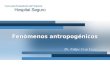 Fenómenos antropogénicos Dr. Felipe Cruz Vega. Objetivos  Analizar los fenómenos antropogénicos que pueden afectar el índice de seguridad de los hospitales