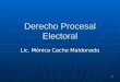 1 Derecho Procesal Electoral Lic. Mónica Cacho Maldonado