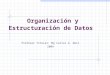 Organización y Estructuración de Datos Profesor Titular: Mg Carlos G. Neil 2009