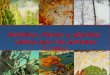 Árboles, flores y plantas vistos por los artistas 3° básico