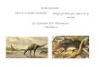 Sexta extinción Tasa de recambio desfasada Mayor pérdida que origen de sp nuevas Ej. Extinción K-T: Dinosaurios / Mamíferos