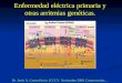 Enfermedad eléctrica primaria y otras arritmias genéticas. Dr. Jesús A. Castro Hevia. ICCCV. Noviembre 2009. Controversias…