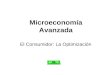 El Consumidor: La Optimización Microeconomía Avanzada