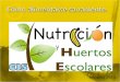 México 2010. Vitaminas Minerales Hidratos de carbono Fibra Agua Sustancias benéficas para la salud