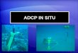 ADCP IN SITU. Características ADCP IN SITU ADCP IN SITU es usado para procesar datos producidos por correntómetros perfiladores: Mediciones de presión