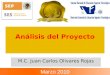 Análisis del Proyecto M.C. Juan Carlos Olivares Rojas Marzo 2010