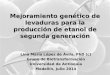 Mejoramiento genético de levaduras para la producción de etanol de segunda generación Lina María López de Ávila, PhD (c) Grupo de Biotransformación Universidad