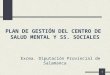 1 PLAN DE GESTIÓN DEL CENTRO DE SALUD MENTAL Y SS. SOCIALES Excma. Diputación Provincial de Salamanca