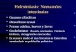 Helmintiasis: Nematodes intestinales Gusanos cilíndricos Dimorfismo sexual Formas adultas, huevos y larvas Geohelmintos Ascaris, uncinarias, Trichuris