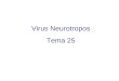 Virus Neurotropos Tema 25. Virus Neurotropos Historia de la rabia El ciclo vital Variaciones genéticas Epidemiología y Profilaxis Rabia Humana Diagnóstico