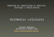 Modelado de complejidad en medicina, biología y neurociencia Autómatas celulares Carlos Reynoso UNIVERSIDAD DE BUENOS AIRES 