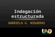 GABRIELA G. WIGUERAS Indagación estructurada. 2 3