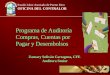 Programa de Auditoría Compras, Cuentas por Pagar y Desembolsos Zamary Soliván Cartagena, CFE Auditora Senior Estado Libre Asociado de Puerto Rico OFICINA