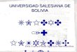 UNIVERSIDAD SALESIANA DE BOLIVIA UNIDAD 1: INTRODUCCIÓN Dra. Carla Paola Aparicio Barrenechea