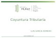 LUIS GARCIA ROMERO Coyuntura Tributaria. IMPUESTO ESPECIAL A LA MINERIA LEY N° 29789