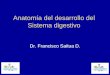 Anatomía del desarrollo del Sistema digestivo Dr. Francisco Saitua D