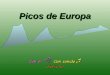 Picos de Europa Macizo de Mampodre, Maraña, León