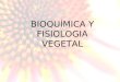 BIOQUÍMICA Y FISIOLOGIA VEGETAL. FISIOLOGÍA VEGETAL Ciencia que estudia el funcionamiento de las plantas, cómo se integran los diversos procesos físicos