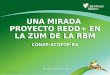 ©2009 Rainforest Alliance UNA MIRADA PROYECTO REDD+ EN LA ZUM DE LA RBM CONAP-ACOFOP-RA 09 DE AGOSTO 2011