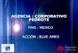 AGENCIA : CORPORATIVO PEDROTE PAIS : MEXICO ACCIÓN : BLUE AMEX PAIS : MEXICO ACCIÓN : BLUE AMEX