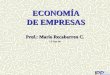 ECONOMÍA DE EMPRESAS Prof.: Mario Recabarren C. 13-Sep-06